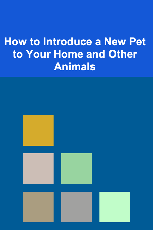 How to Introduce a New Pet to Your Home and Other Animals