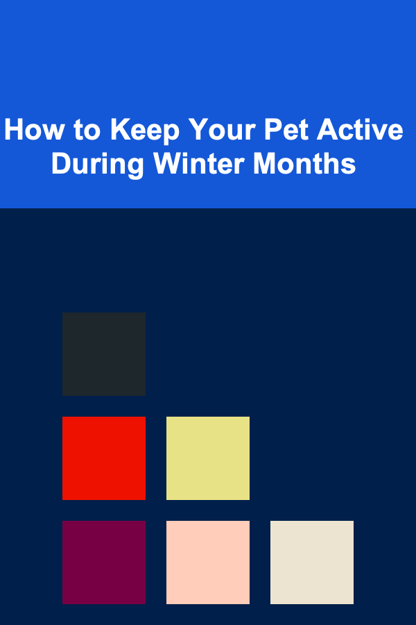 How to Keep Your Pet Active During Winter Months