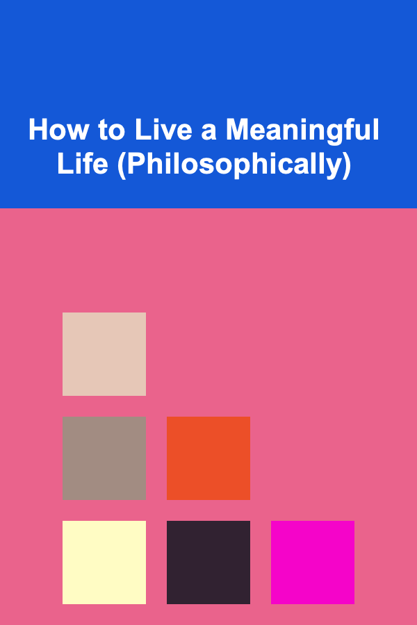 How to Live a Meaningful Life (Philosophically)