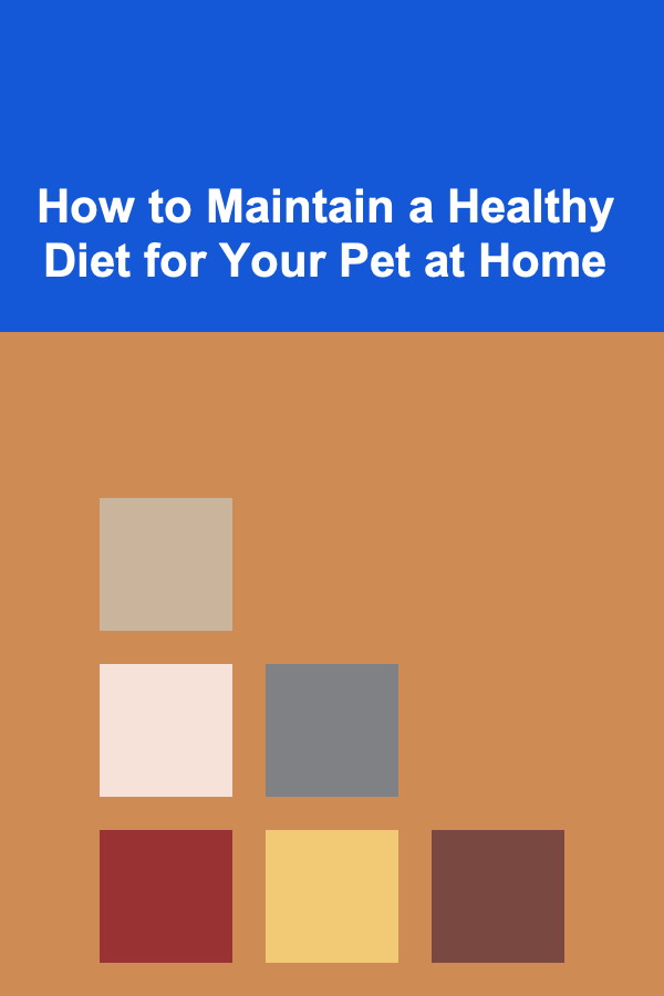 How to Maintain a Healthy Diet for Your Pet at Home