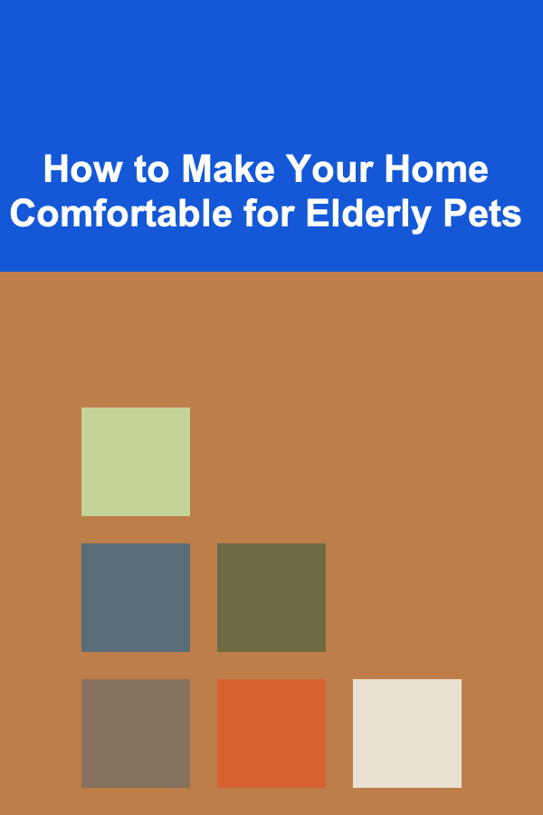 How to Make Your Home Comfortable for Elderly Pets