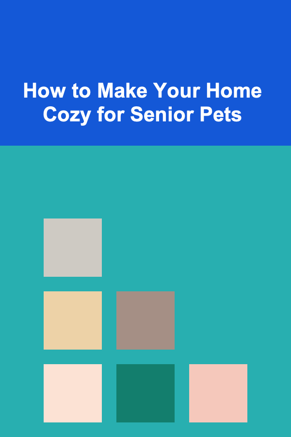 How to Make Your Home Cozy for Senior Pets