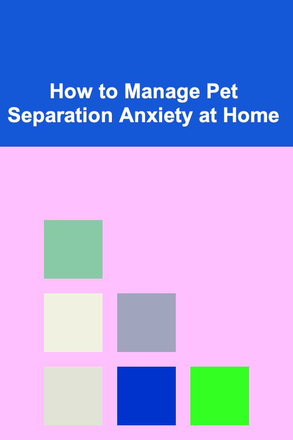 How to Manage Pet Separation Anxiety at Home