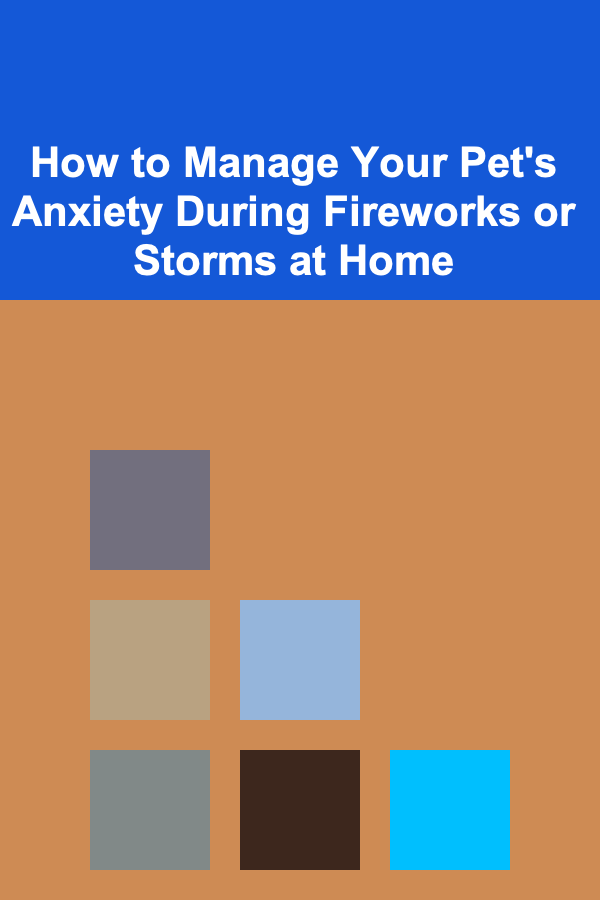 How to Manage Your Pet's Anxiety During Fireworks or Storms at Home
