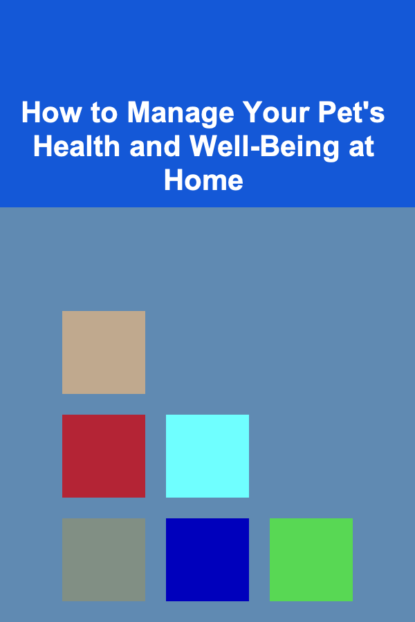 How to Manage Your Pet's Health and Well-Being at Home