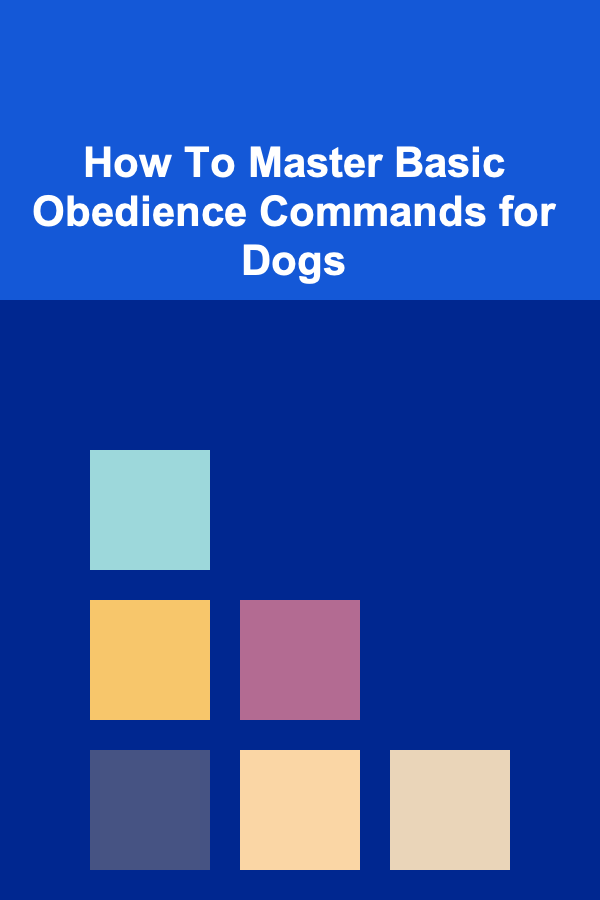 How To Master Basic Obedience Commands for Dogs