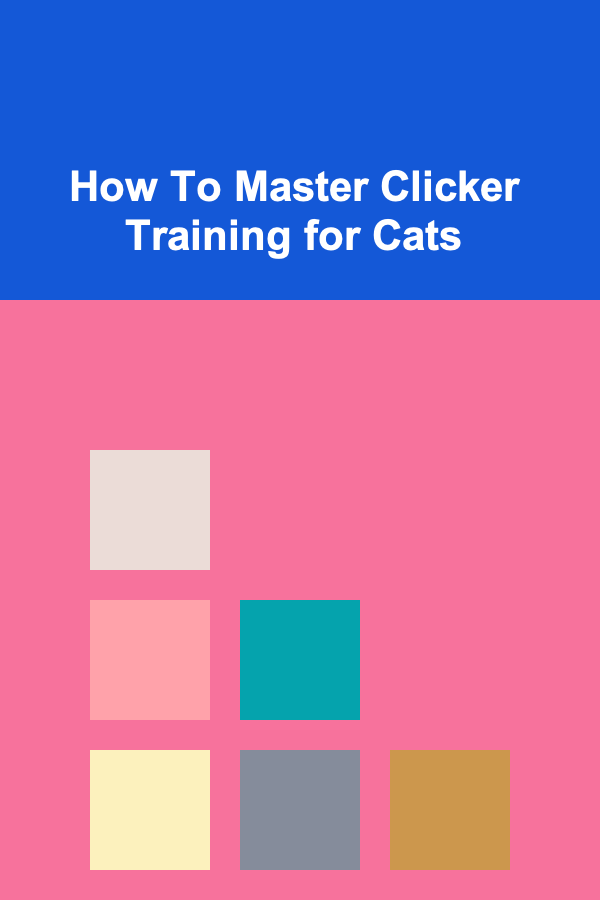 How To Master Clicker Training for Cats
