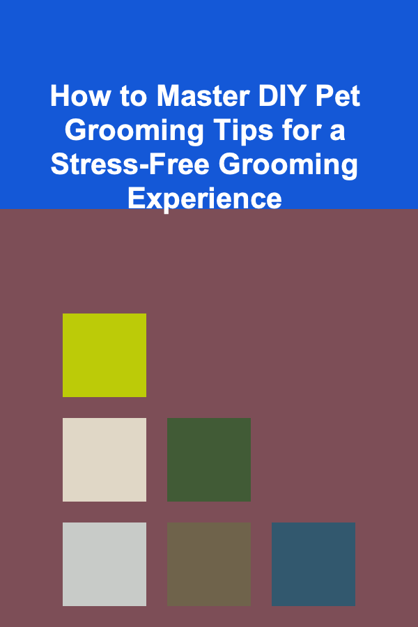 How to Master DIY Pet Grooming Tips for a Stress-Free Grooming Experience