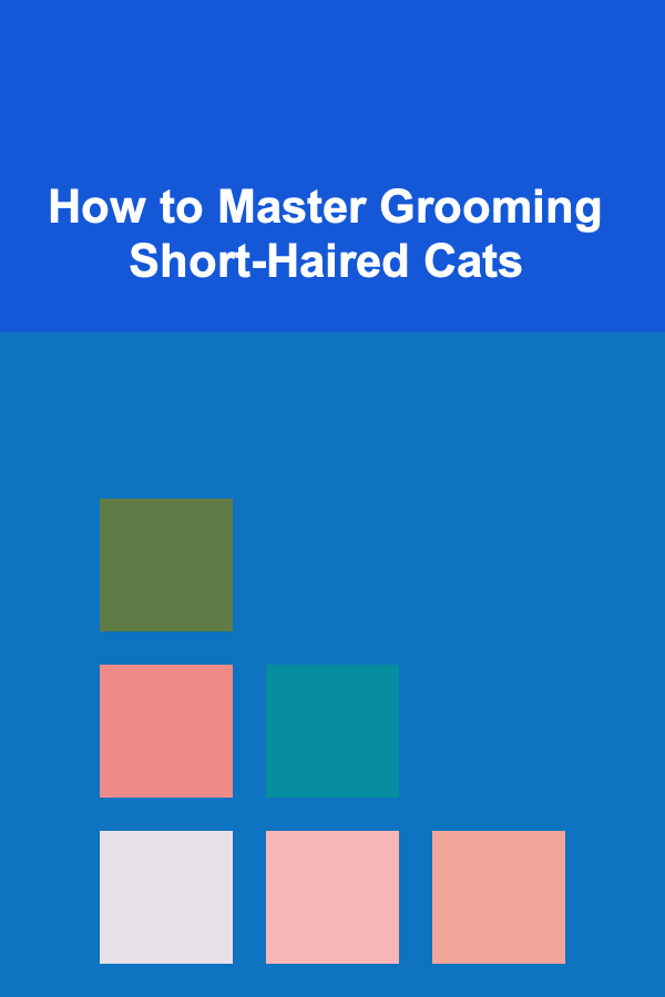 How to Master Grooming Short-Haired Cats