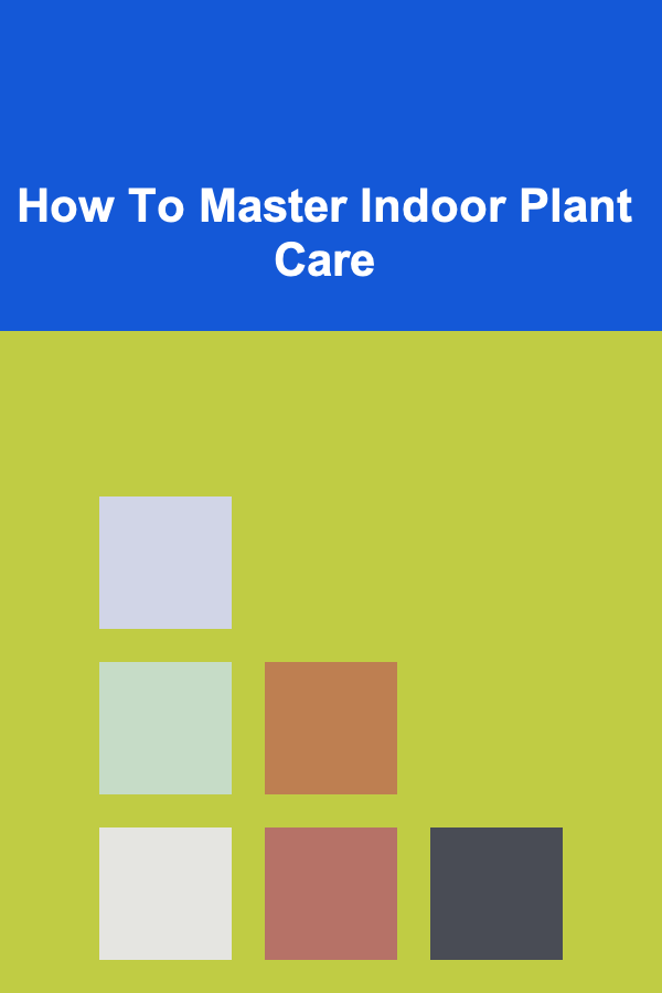 How To Master Indoor Plant Care