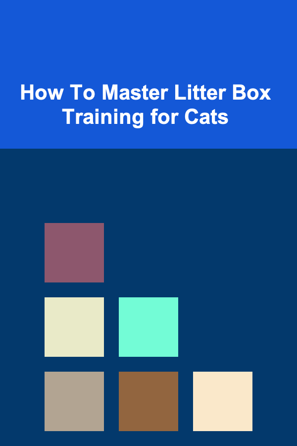 How To Master Litter Box Training for Cats