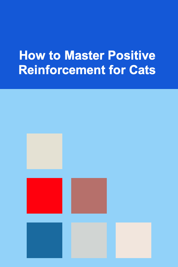 How to Master Positive Reinforcement for Cats