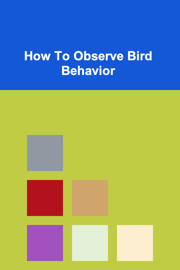 How To Observe Bird Behavior