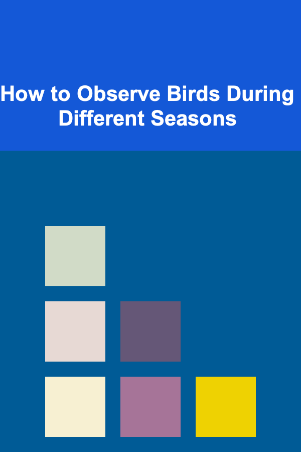 How to Observe Birds During Different Seasons