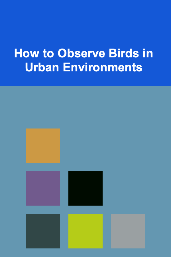 How to Observe Birds in Urban Environments