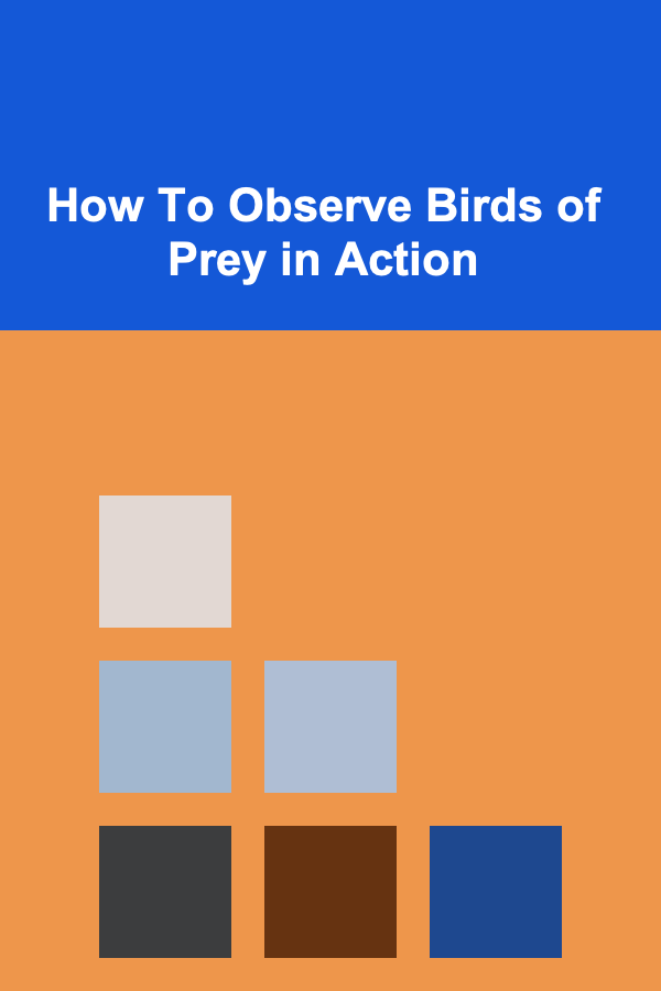 How To Observe Birds of Prey in Action