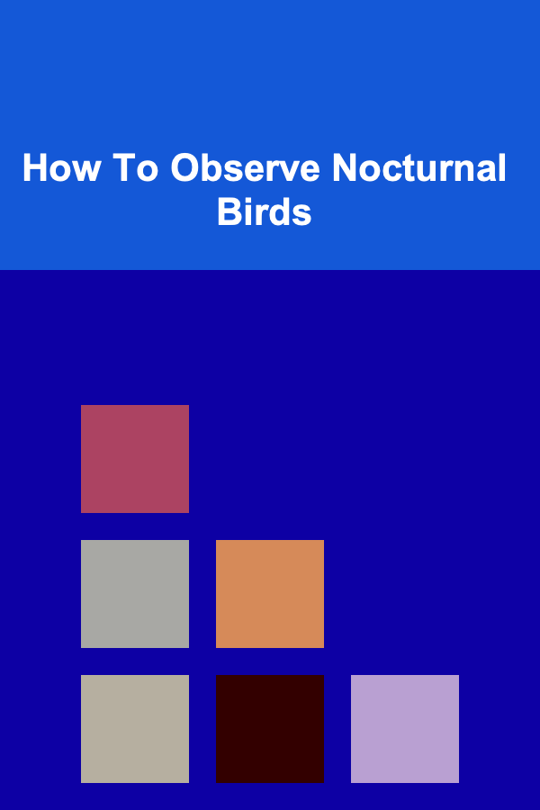 How To Observe Nocturnal Birds