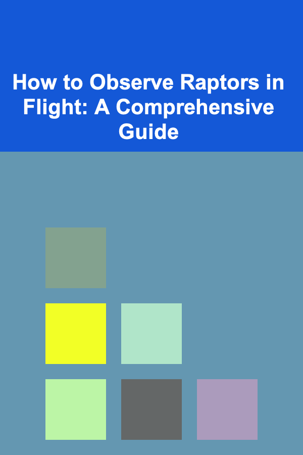 How to Observe Raptors in Flight: A Comprehensive Guide