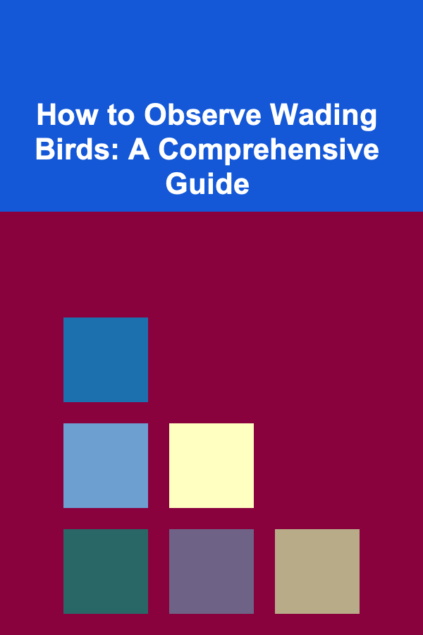 How to Observe Wading Birds: A Comprehensive Guide