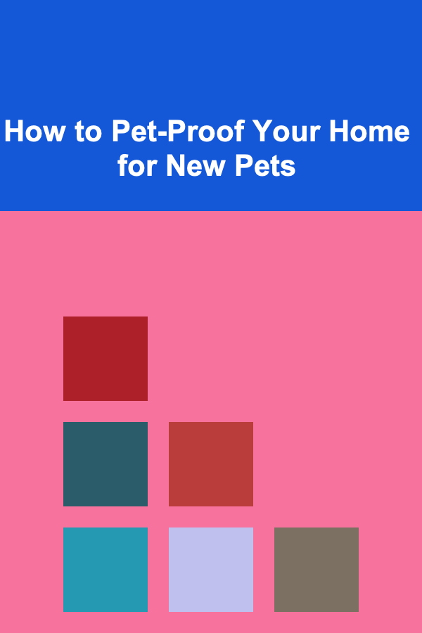 How to Pet-Proof Your Home for New Pets