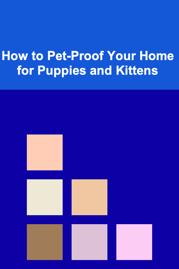 How to Pet-Proof Your Home for Puppies and Kittens