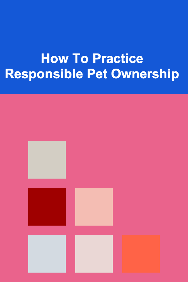 How To Practice Responsible Pet Ownership