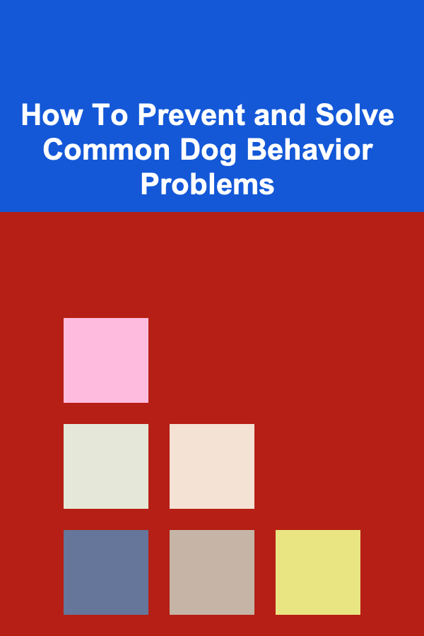How To Prevent and Solve Common Dog Behavior Problems