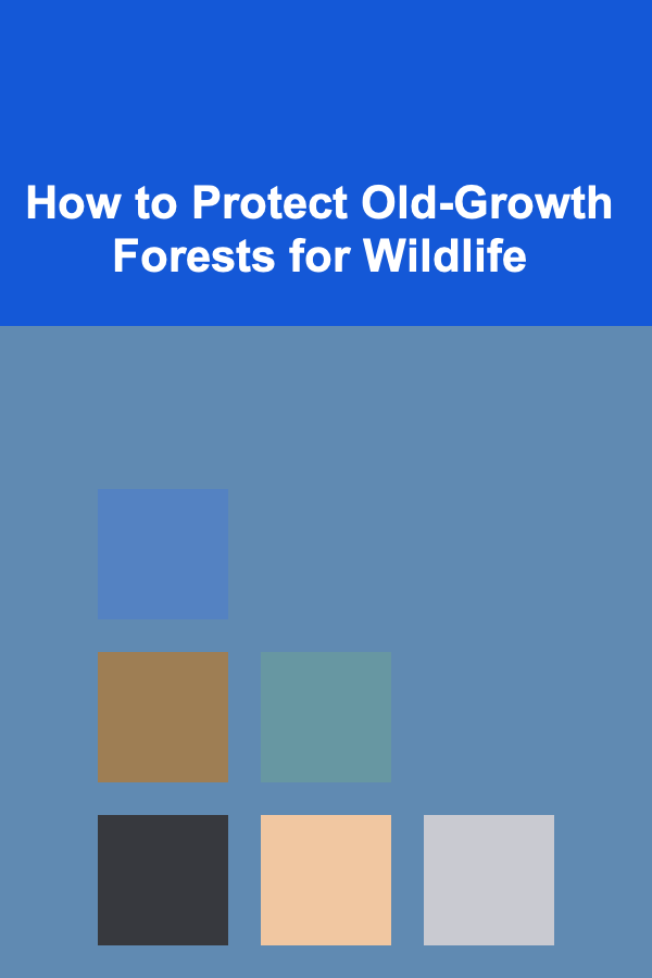 How to Protect Old-Growth Forests for Wildlife