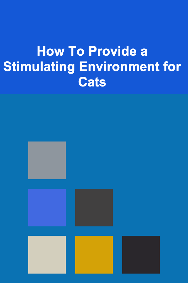 How To Provide a Stimulating Environment for Cats