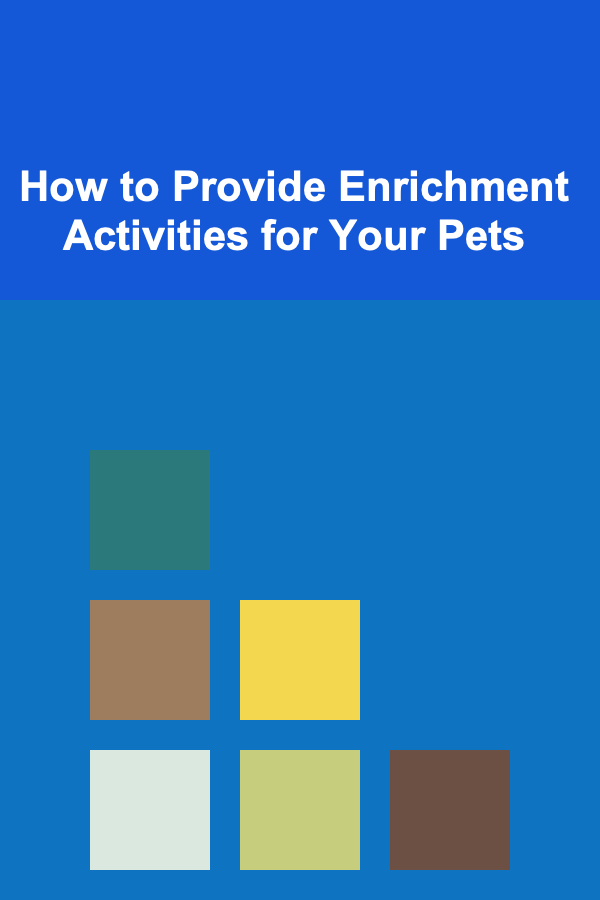 How to Provide Enrichment Activities for Your Pets