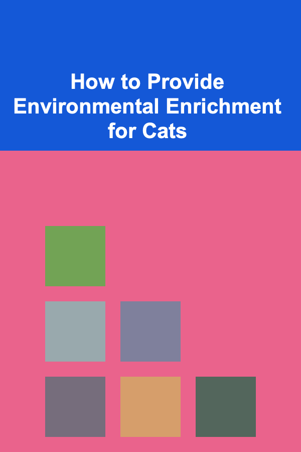 How to Provide Environmental Enrichment for Cats
