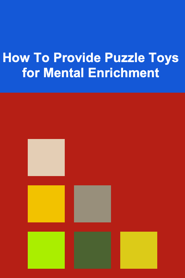 How To Provide Puzzle Toys for Mental Enrichment