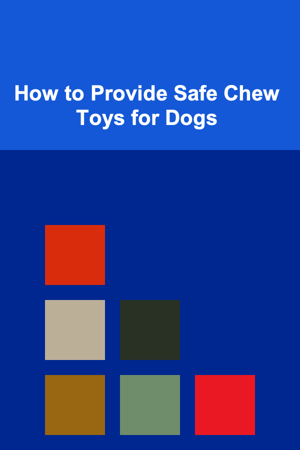 How to Provide Safe Chew Toys for Dogs