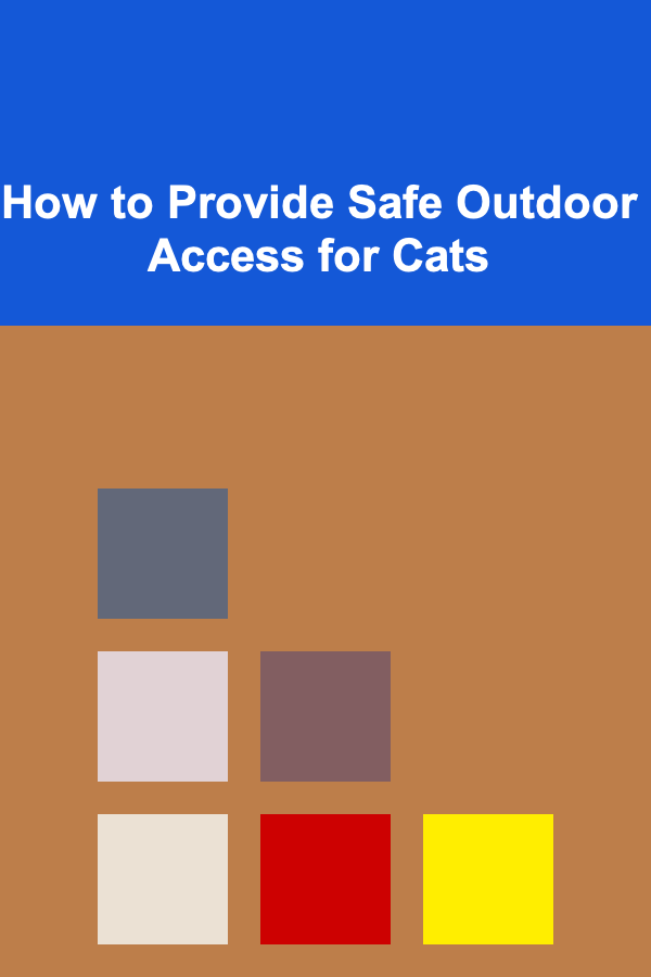 How to Provide Safe Outdoor Access for Cats