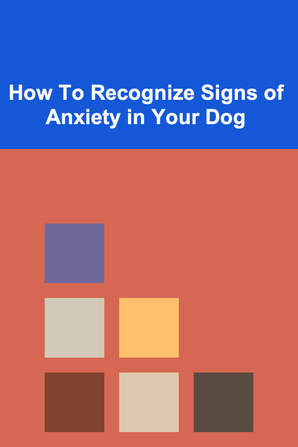 How To Recognize Signs of Anxiety in Your Dog