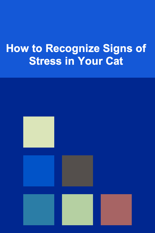 How to Recognize Signs of Stress in Your Cat