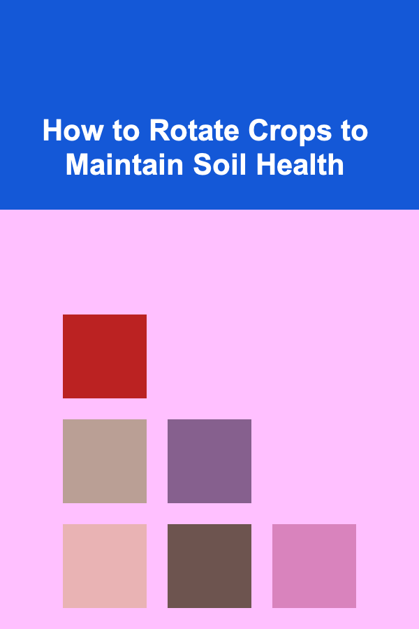 How to Rotate Crops to Maintain Soil Health