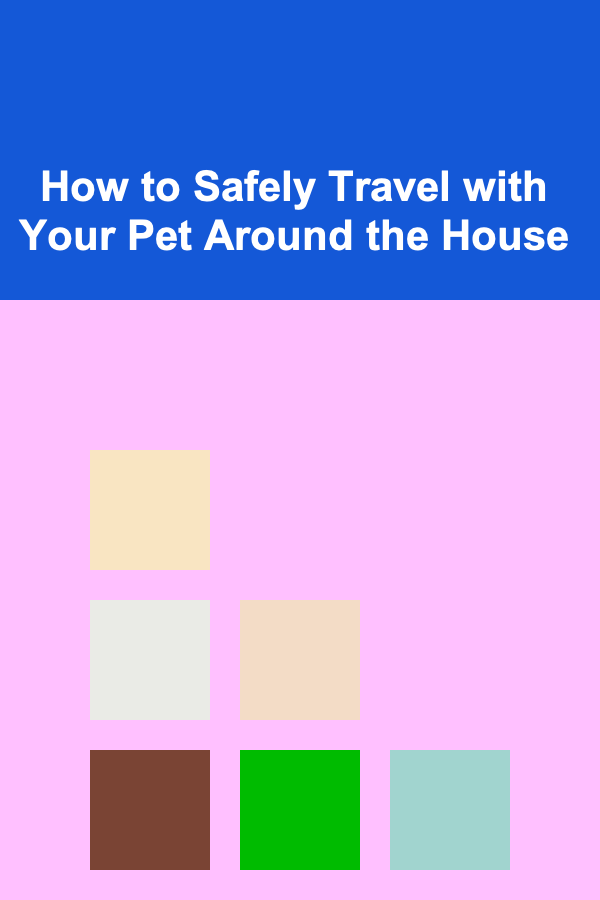How to Safely Travel with Your Pet Around the House