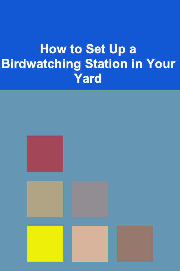 How to Set Up a Birdwatching Station in Your Yard