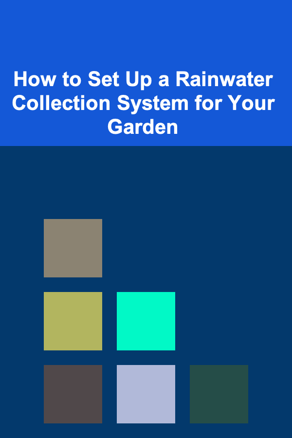 How to Set Up a Rainwater Collection System for Your Garden