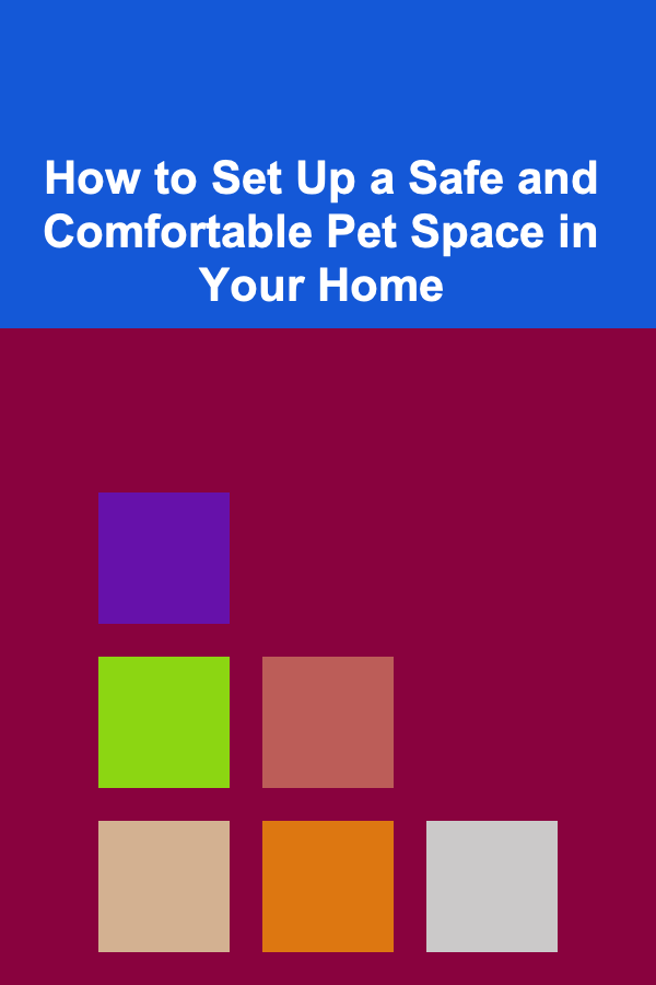 How to Set Up a Safe and Comfortable Pet Space in Your Home