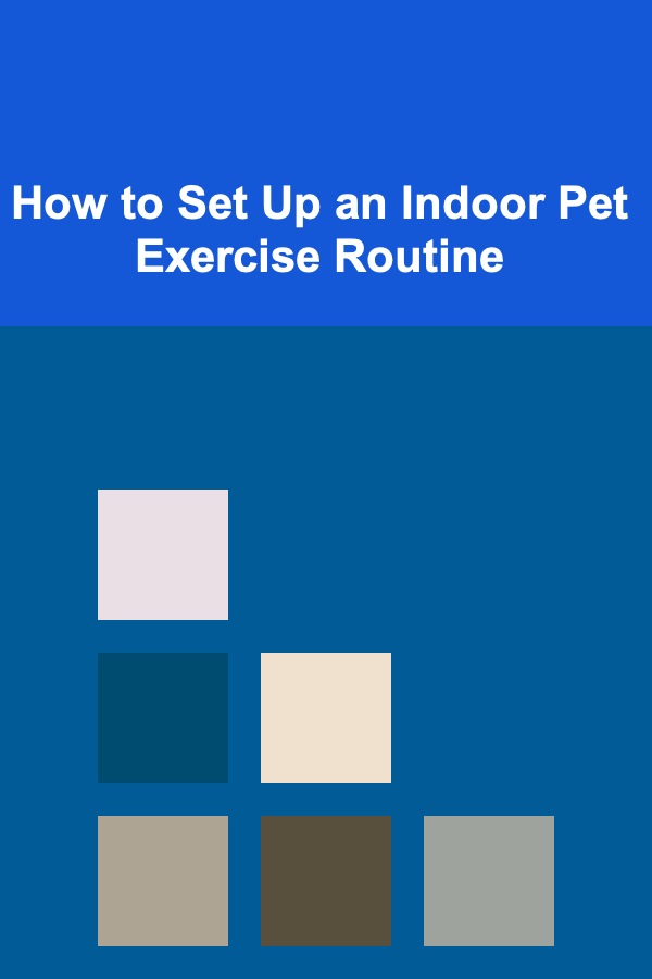 How to Set Up an Indoor Pet Exercise Routine