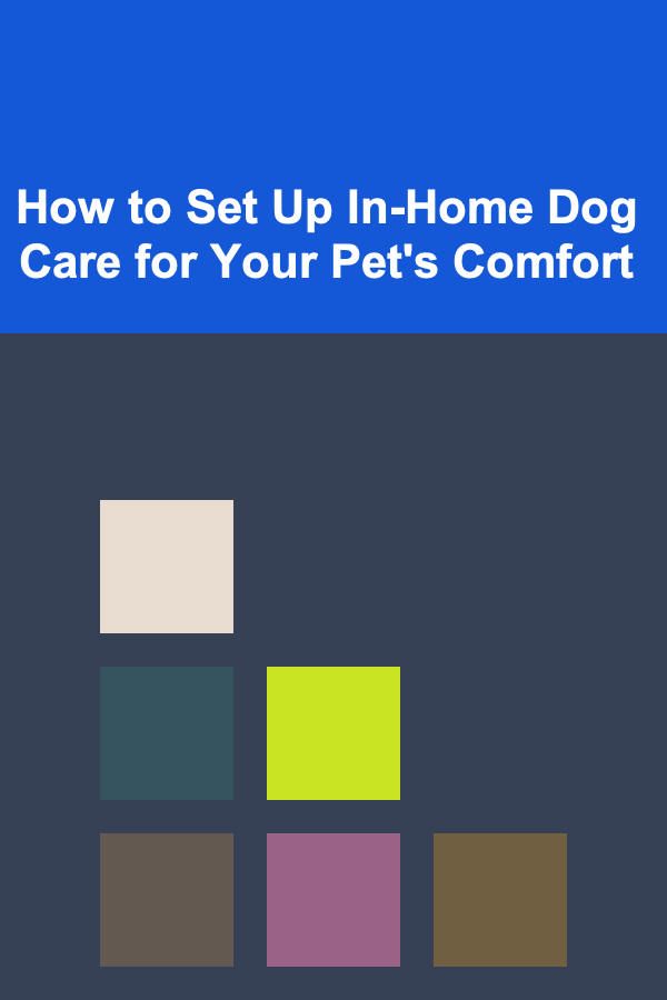 How to Set Up In-Home Dog Care for Your Pet's Comfort