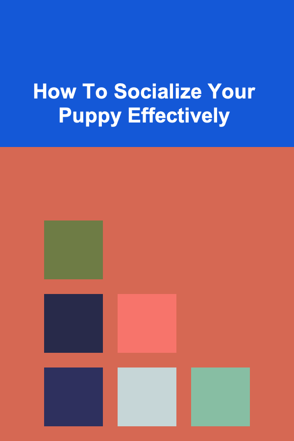 How To Socialize Your Puppy Effectively