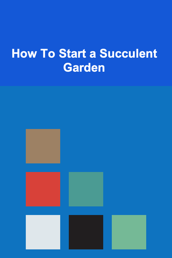 How To Start a Succulent Garden