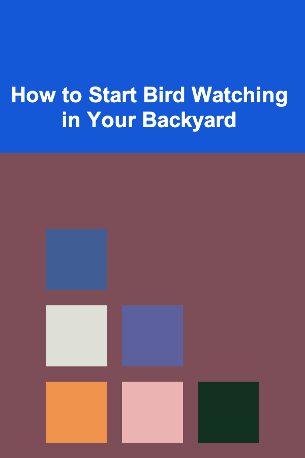 How to Start Bird Watching in Your Backyard