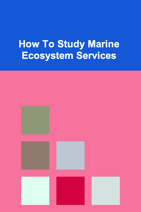 How To Study Marine Ecosystem Services