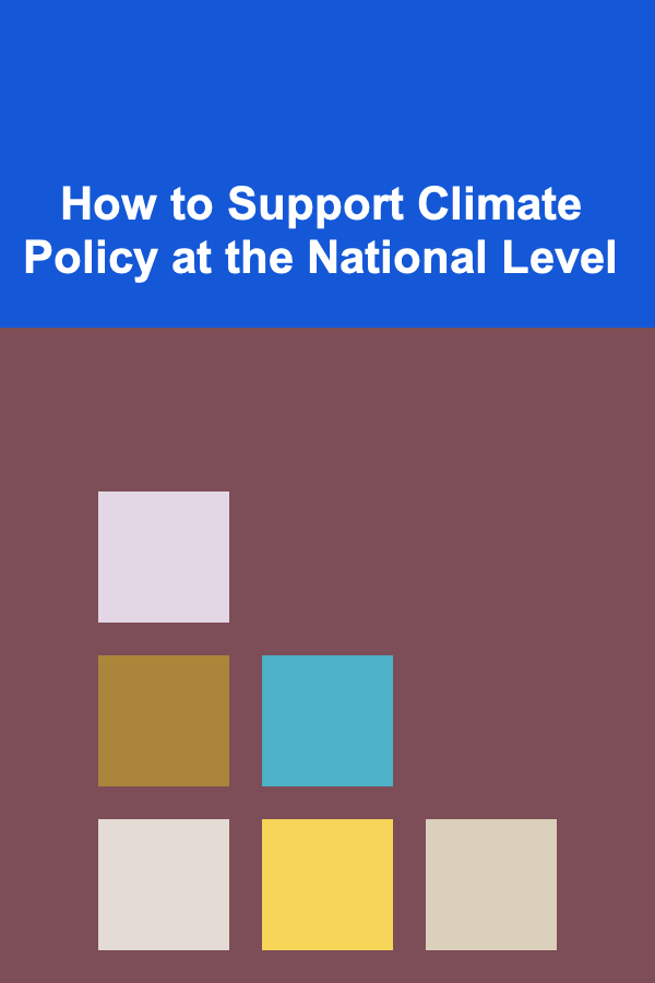 How to Support Climate Policy at the National Level