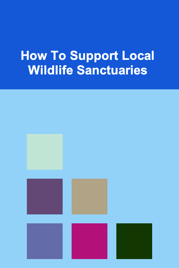 How To Support Local Wildlife Sanctuaries