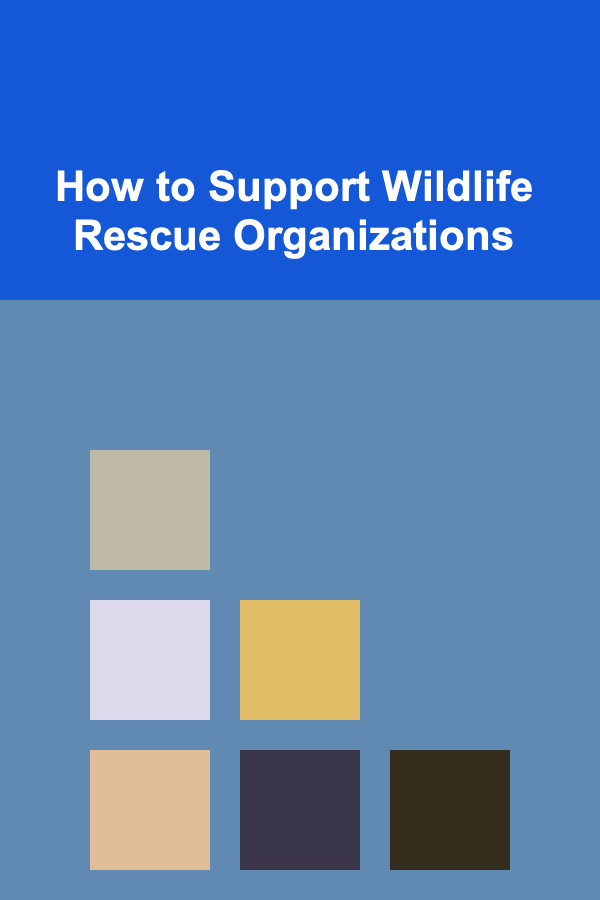 How to Support Wildlife Rescue Organizations